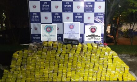 Mais de 420 quilos de maconha vindas do Paraguai são apreendidas em Itabuna; droga era transportada em caminhão