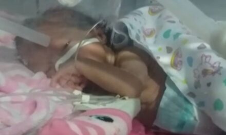 Bebê com problema cardíaco precisa de cirurgia e mãe apela por transferência: ‘Não quero ver minha filha morta’