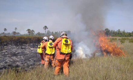 Aeronaves do Governo do Estado reforçam combate aos incêndios florestais na Bahia
