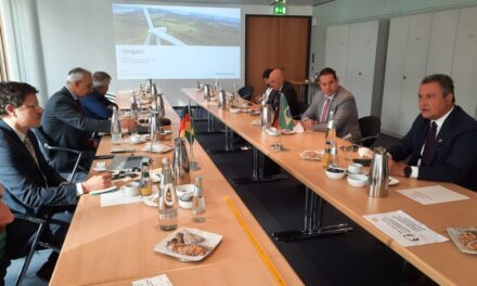 Rui Costa se reúne com empresa alemã para trazer projeto de energia renovável para a indústria baiana