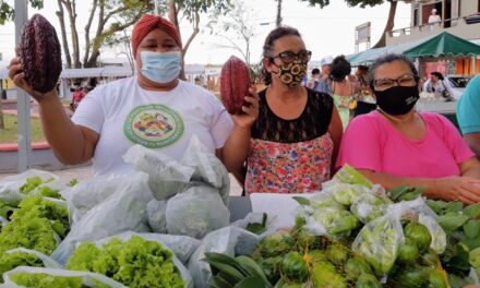 Agricultura Familiar é destaque no Festival Sabores de Itacaré