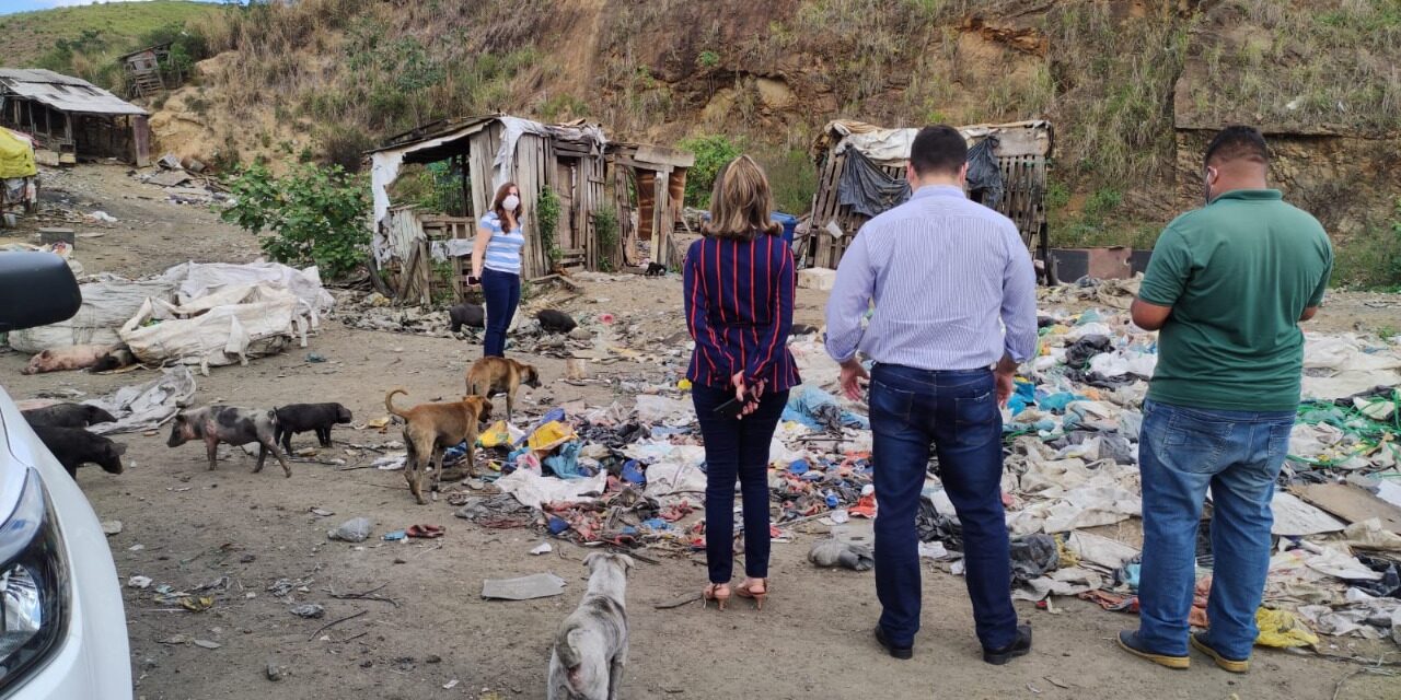 Secretaria Municipal de Saúde prossegue na assistência a cães e gatos do antigo lixão de Itabuna