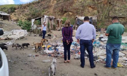 Secretaria Municipal de Saúde prossegue na assistência a cães e gatos do antigo lixão de Itabuna