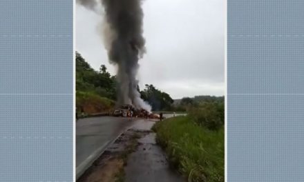 Veículos pegam fogo após baterem de frente na BR-101