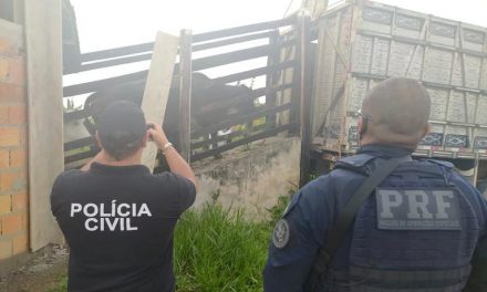 Porteira Fechada: PRF e Polícia Civil desarticulam quadrilha especializada em roubo de gados
