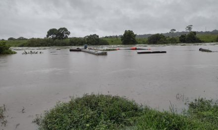 Chuvas e cheias dos rios Cachoeira e Almada interrompem a captação nas estações da Emasa e Itabuna fica desabastecida