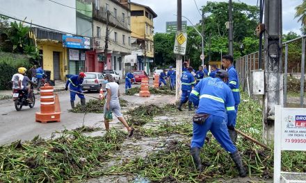 Prefeitura monta operação para retirada de baronesas e lama da área central e bairros de Itabuna
