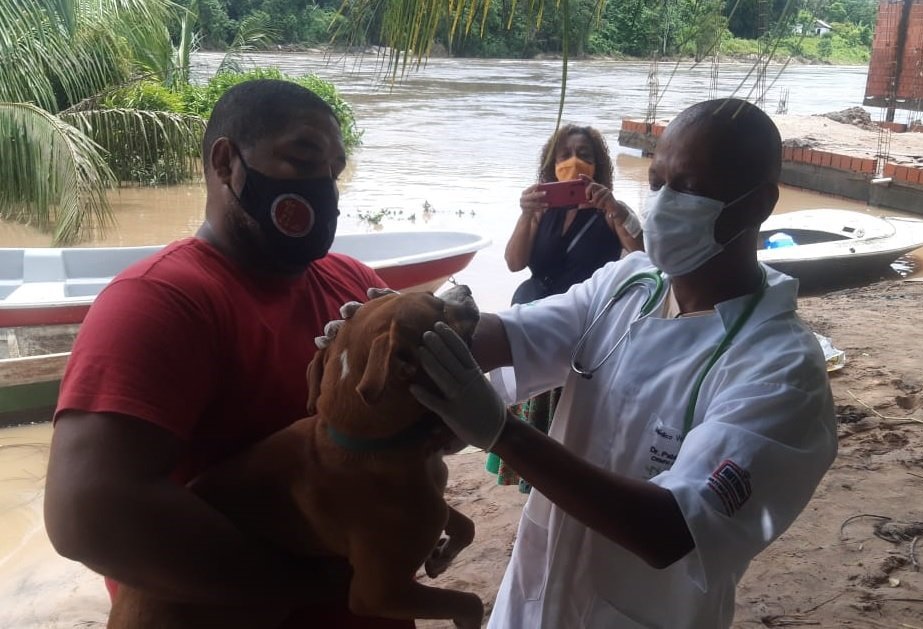 Prefeitura de Itacaré e clínica atendem animais atingidos pelas enchentes