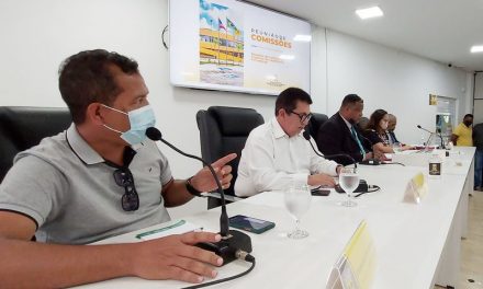 “Será um PPA ajustado e redimensionado para Itabuna” diz relator