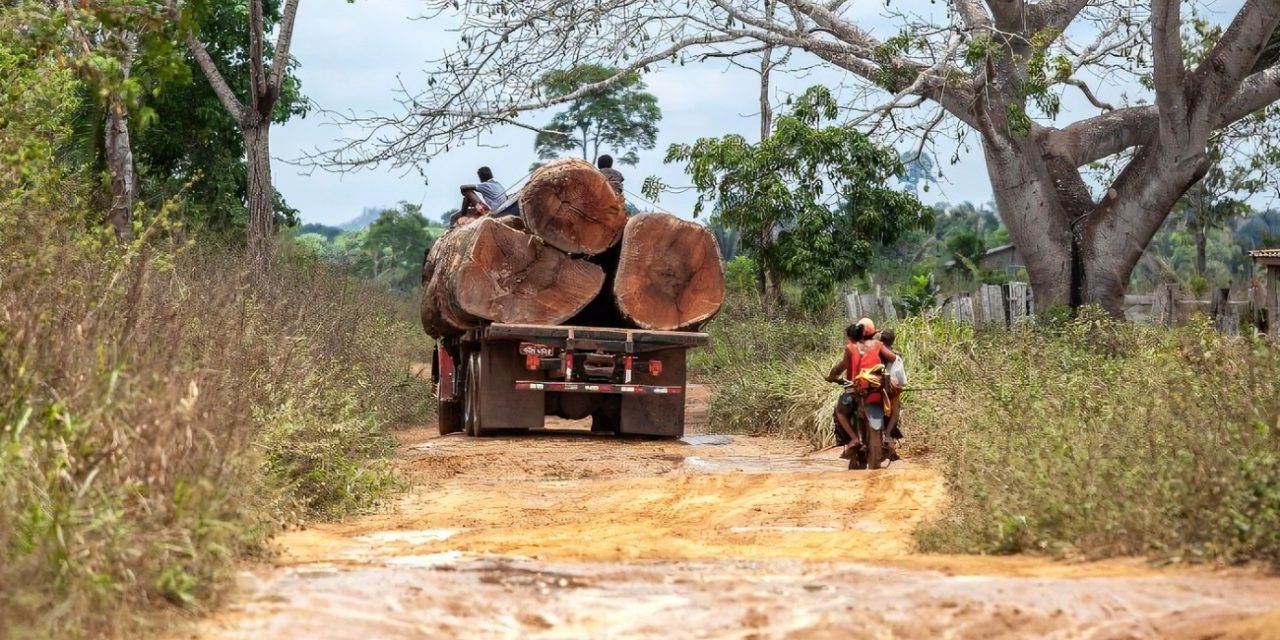 Em três anos, desmatamento em terras indígenas cresceu quase 140%