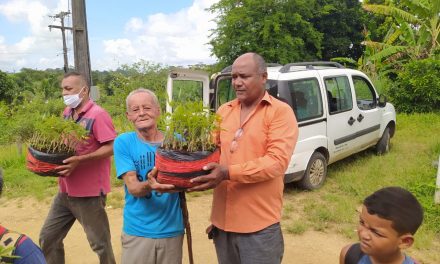 Associações rurais de Itabuna recebem mudas de Aipim doadas pelo Instituto Biofábrica