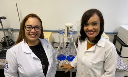 Pesquisadoras da Bahia desenvolvem curativo sustentável a partir de nanopartículas de própolis