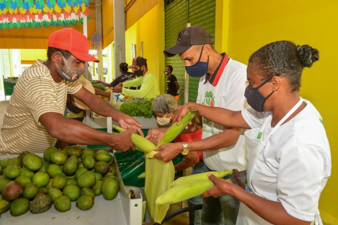 Sete cursos voltados para o setor rural fazem parte do Programa Educar Para Trabalhar