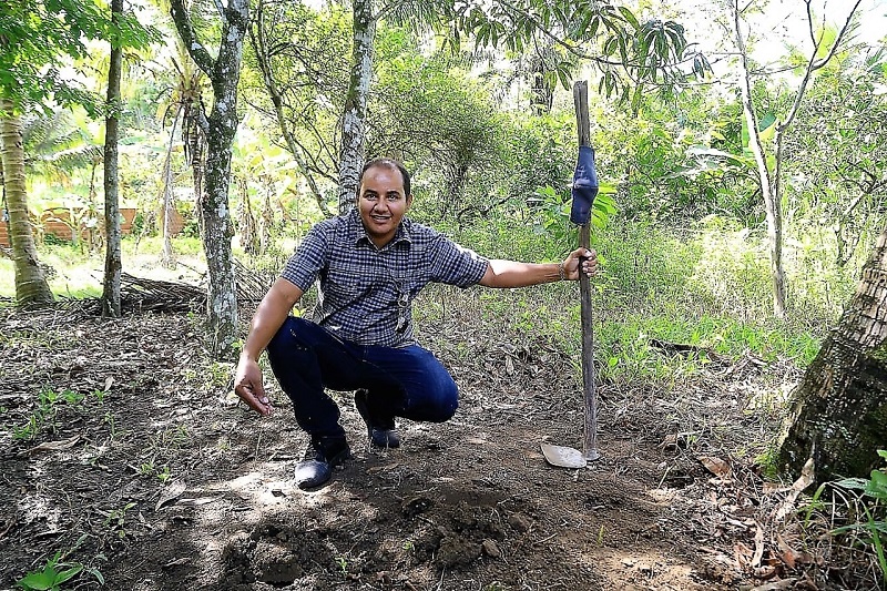 Agricultores familiares de Itabuna estão otimistas com o plantio e a colheita do milho