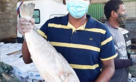 Prefeito de Itagimirim é punido por autopromoção na distribuição de pescado