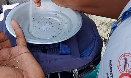 Mutirão no Vila Anália detecta muitos focos do Aedes aegpyti em reservatórios de água