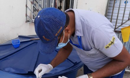Dengue em Itabuna: Prefeitura trabalha para evitar nova epidemia da doença na cidade
