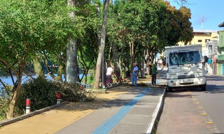 Poda de árvores e limpeza das margens do Rio Cachoeira são intensificadas pela prefeitura em Itabuna