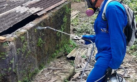 Bairros com maior incidência estão recebendo o Mutirão de Combate ao Aedes Aegypti em Itabuna