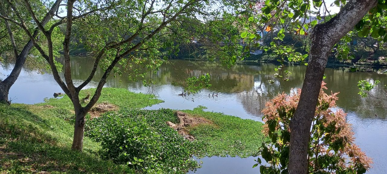 Atividades da Semana do Meio Ambiente em Itabuna começam na próxima segunda (30 )