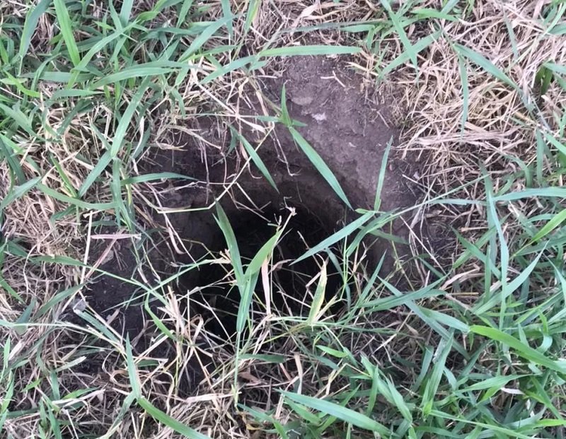 Bebê é encontrado vivo depois de passar dois dias dentro de buraco na Bahia; mãe foi presa por abandono de incapaz