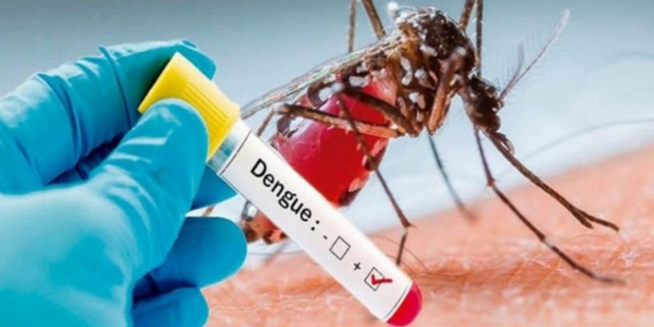 Itabuna registra 1.140 casos de dengue