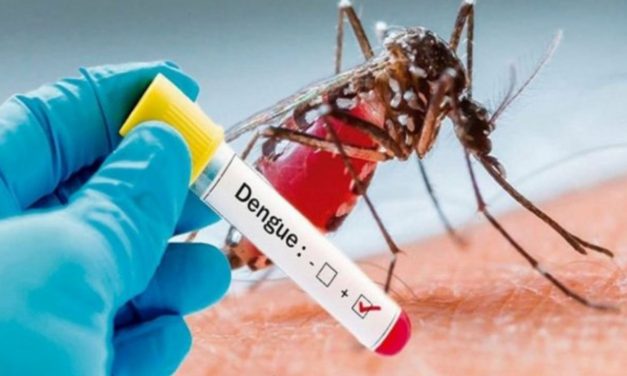 Bahia tem 13 municípios em epidemia de dengue, diz Sesab
