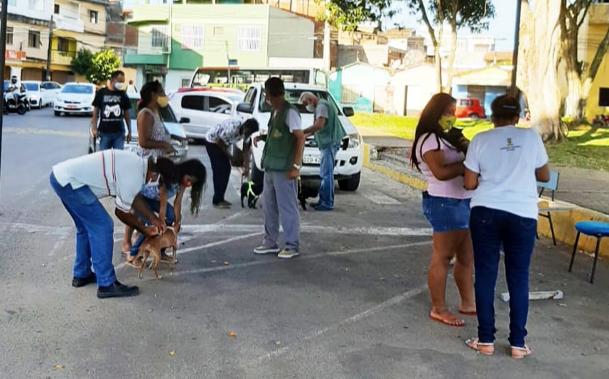 Itabuna: começam os preparativos para a Campanha de Vacinação Antirrábica