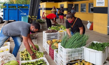 Programa Alimenta Brasil recebeu  meia tonelada de alimentos das Associações de Agricultores de Itabuna