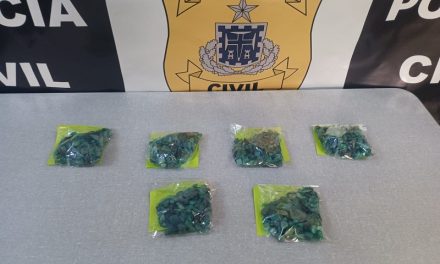 Polícia Civil apreende 1100 pedras de esmeraldas