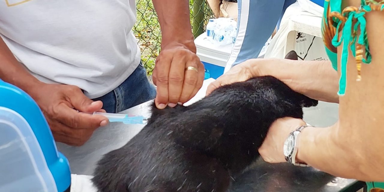 Secretaria Municipal de Saúde já imunizou mais de cinco mil cães e gatos contra a raiva em Itabuna
