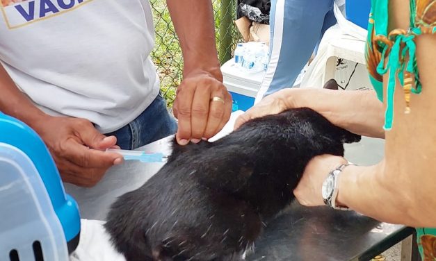 Secretaria Municipal de Saúde já imunizou mais de cinco mil cães e gatos contra a raiva em Itabuna