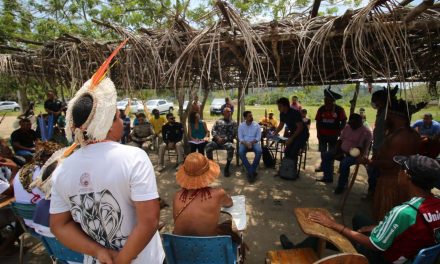 Lideranças denunciam ataques e venda ilegal de terras indígenas no extremo sul