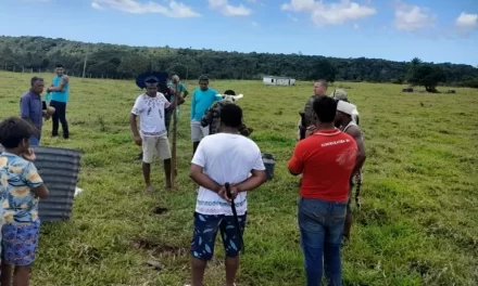 Indígena de 14 anos é morto a tiros em ataque a ocupação em Prado, no extremo-sul