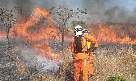 Operação de prevenção e combate aos incêndios florestais ganha reforço de novos bombeiros militares
