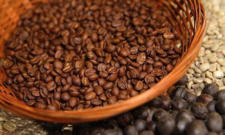 Café: Bahia ganha primeiro e segundo lugares no principal concurso de qualidade do produto no mundo
