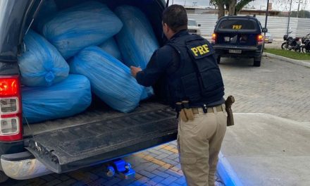 PRF apreende 167 kg de maconha que era transportada em Fiorino