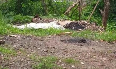 Dois homens são executados em Itabuna; polícia investiga
