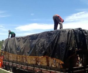 Associação de Catadores de Itacaré produz 100 toneladas de recicláveis em cinco meses de funcionamento