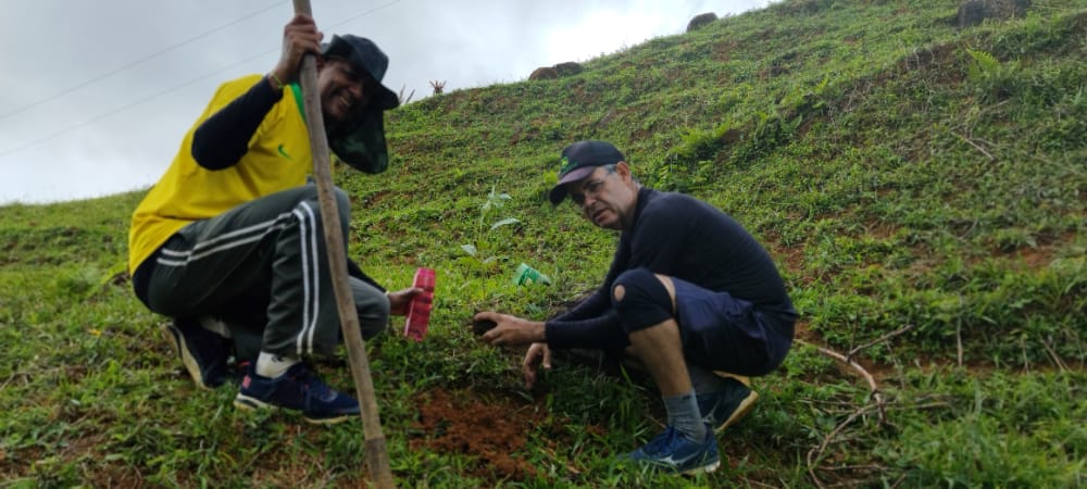 Caminhando e plantando esperança