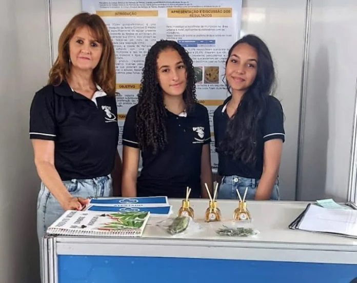 Jovens baianas criam aromatizador natural que combate muriçocas