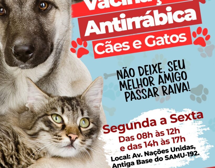 Itabuna inicia na terça-feira a vacinação antirrábica de cães e gatos