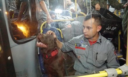 Bombeiros, médicos e cães farejadores de SP embarcam para a Turquia para ajudar no resgate de vítimas do terremoto