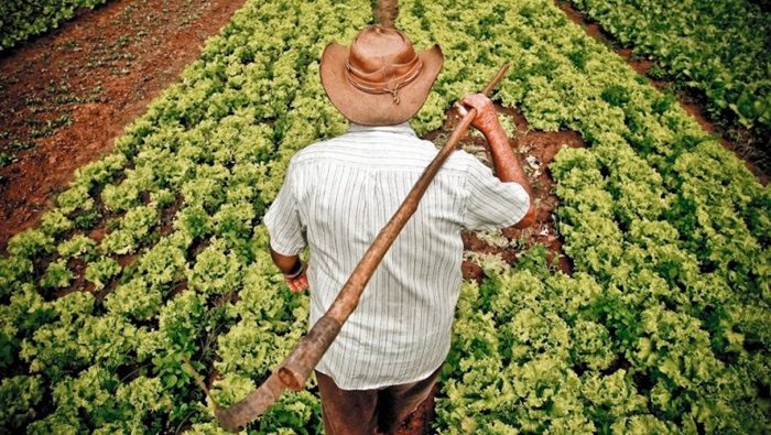 Governo Federal prorroga prazo para adesão ao PAA até 30 de junho