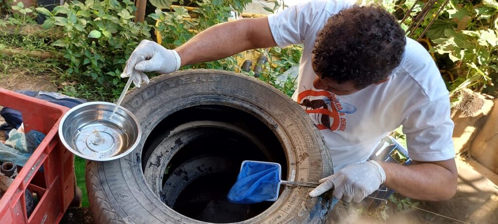 Aumento de 50% dos casos de dengue e chikungunya deixa Itabuna em alerta amarelo