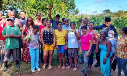 Produção de milho da Agricultura Familiar em Itabuna pode chegar a 70 toneladas