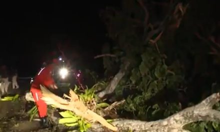 Duas pessoas ficam feridas após moto atingir galhos de árvore caída na rodovia Itabuna-Ilhéus