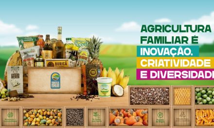Empório, chocolateria, cafeteria e sorvetes do Cerrado são algumas das novidades da agricultura familiar na Bahia Farm Show 2023