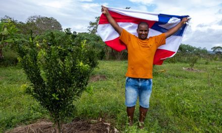 A agricultura familiar da Bahia e as muitas histórias de Independência