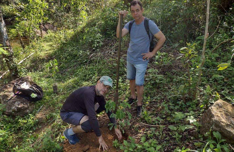 Plantando árvores para lembrar o 5 de junho